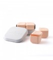Miniware Des.14 Δοχείο φαγητού Inox Καραμέλα 15x15cm με 2 αποθηκευτικά δοχεία σιλικόνης