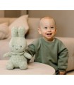Λούτρινο Από Βελουτέ Ύφασμα 30cm Πράσινο Miffy